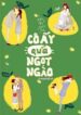 co-ay-qua-ngot-ngao