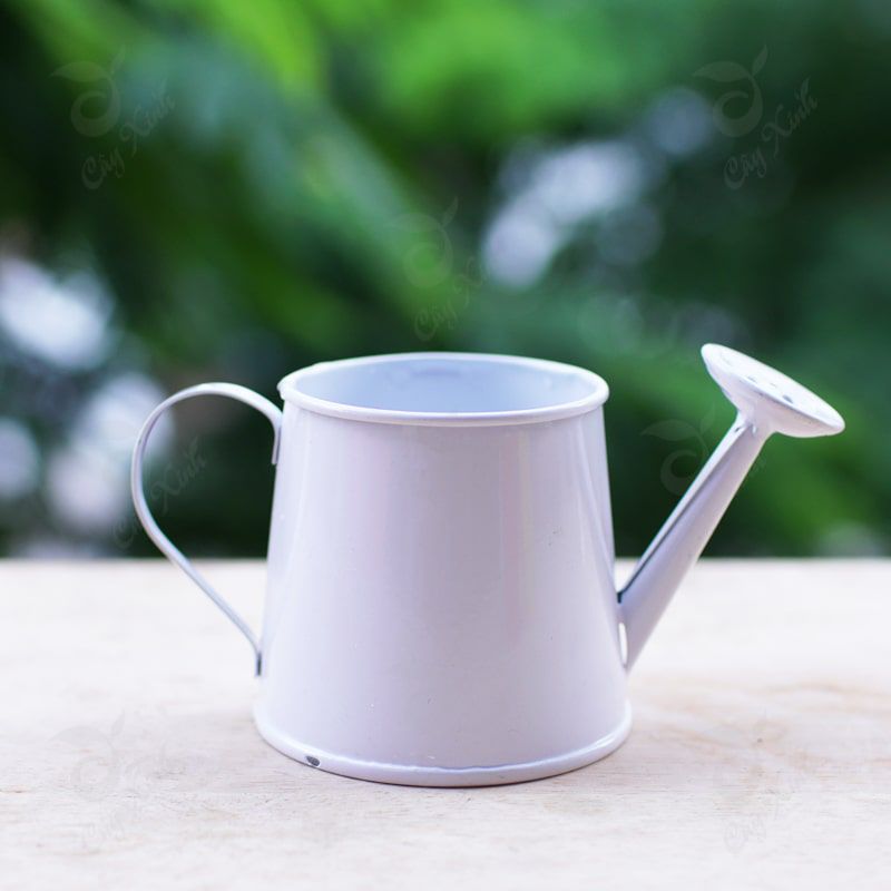 Dù không giống với bình tác giả miêu tả lắm nhưng đại khái đây là chic bình hoa sen tưới cây nha các nàng